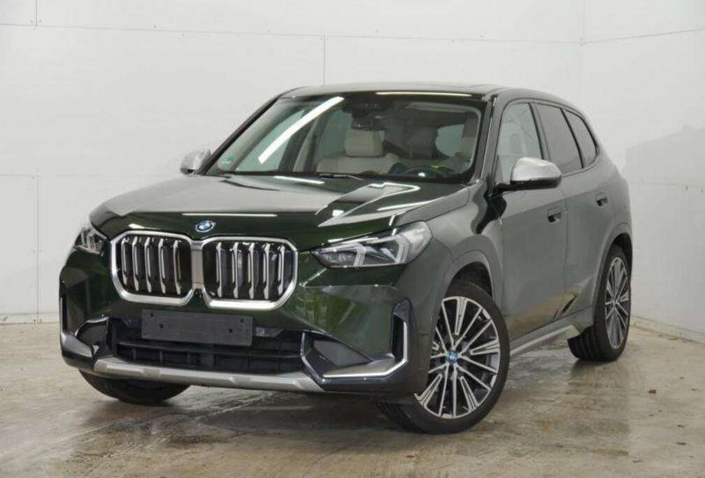 BMW xDrive30 X-Line - Sanremo gree