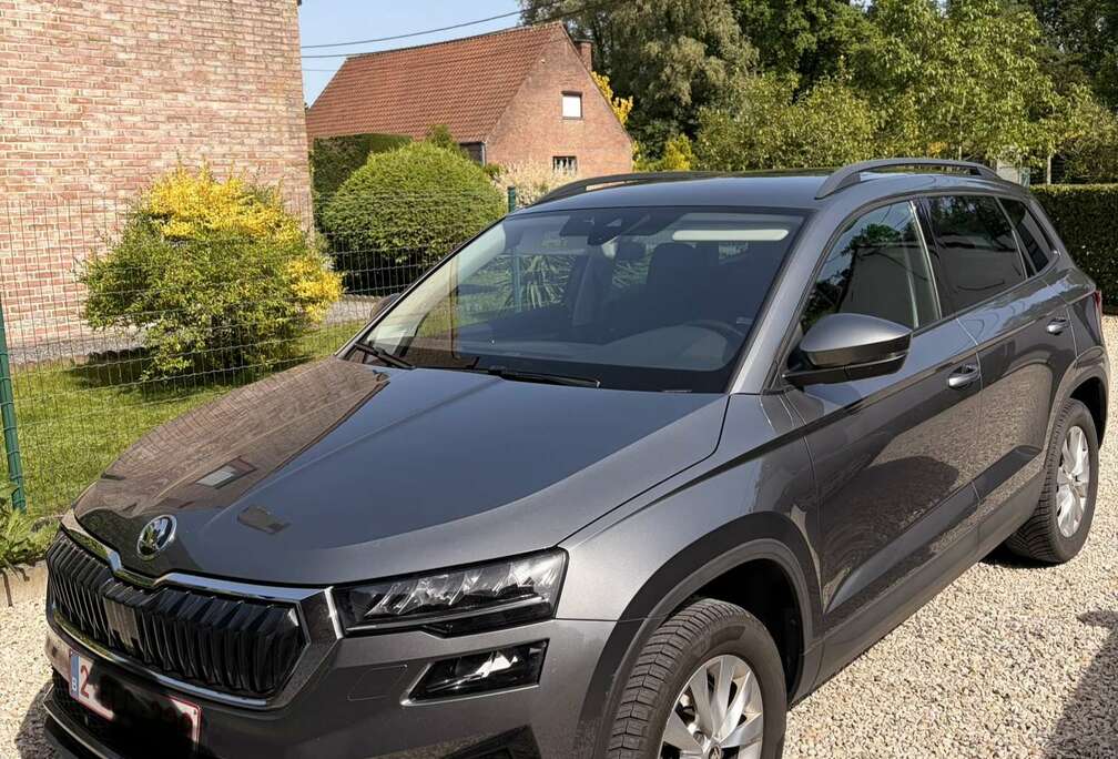 Skoda 2.0 CR TDi SCR Clever+ DSG