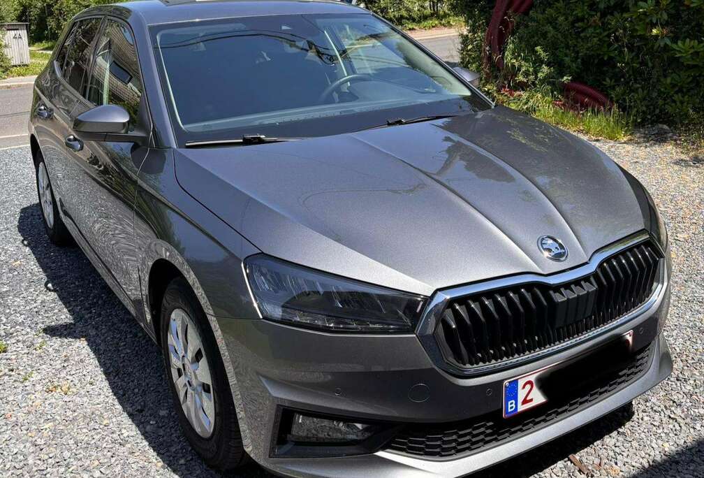 Skoda Fabia 1.0 TSI Clever