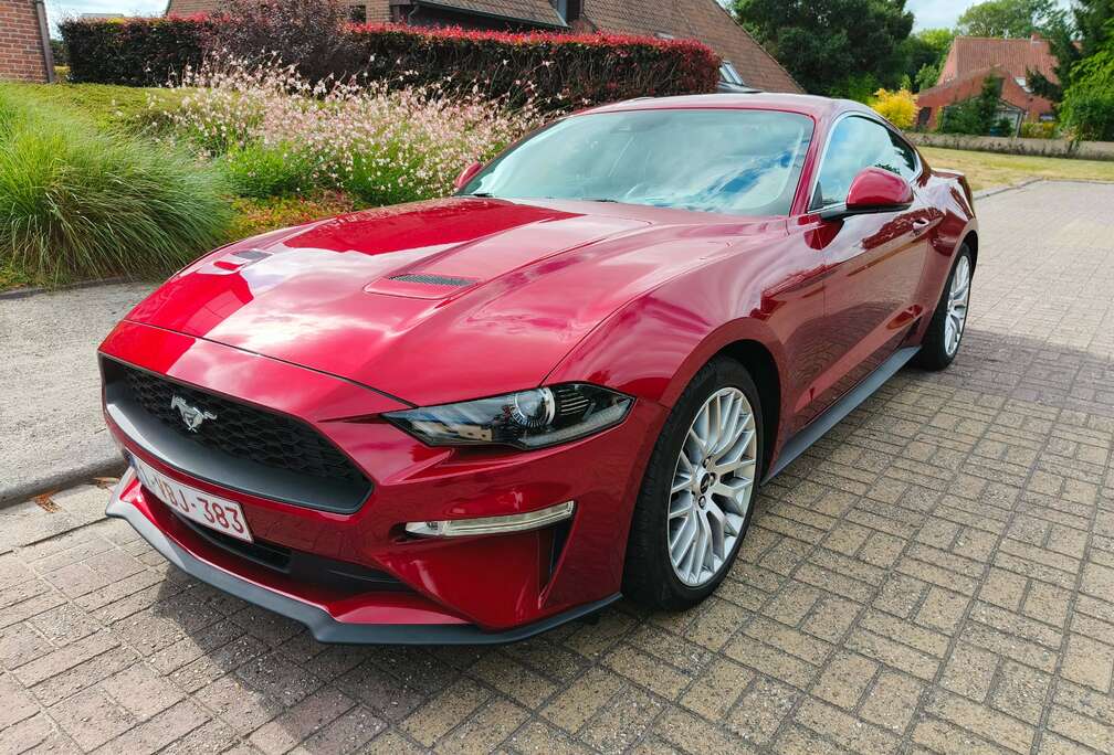 Ford Mustang 2.3 EcoBoost (EU6.2)