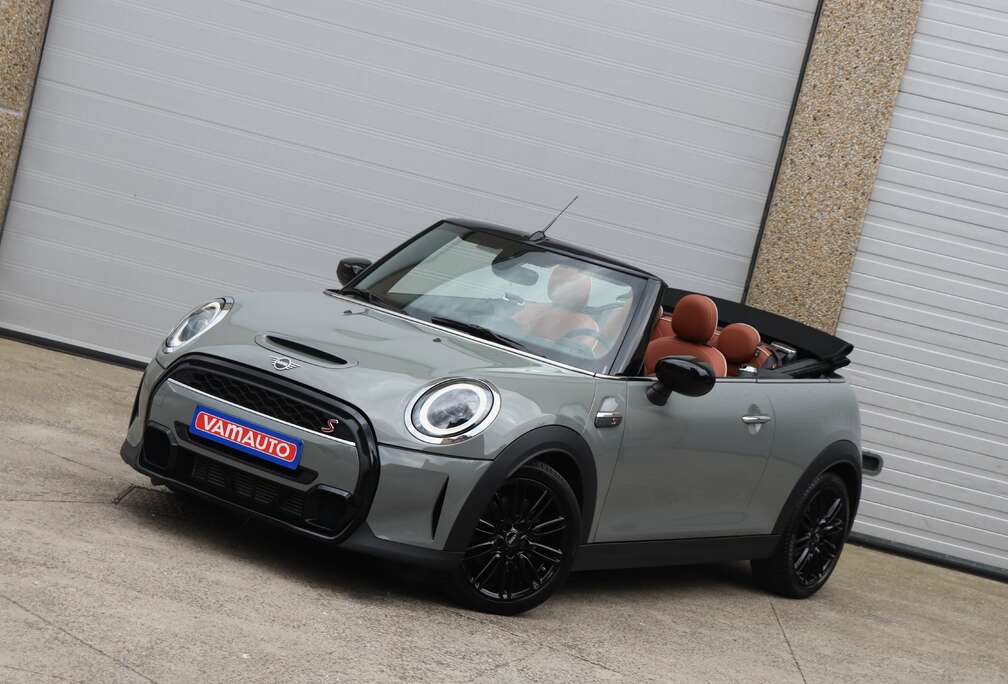 MINI - Leather/Shadow/AppleCarplay/LED/AmbientLight/Cam