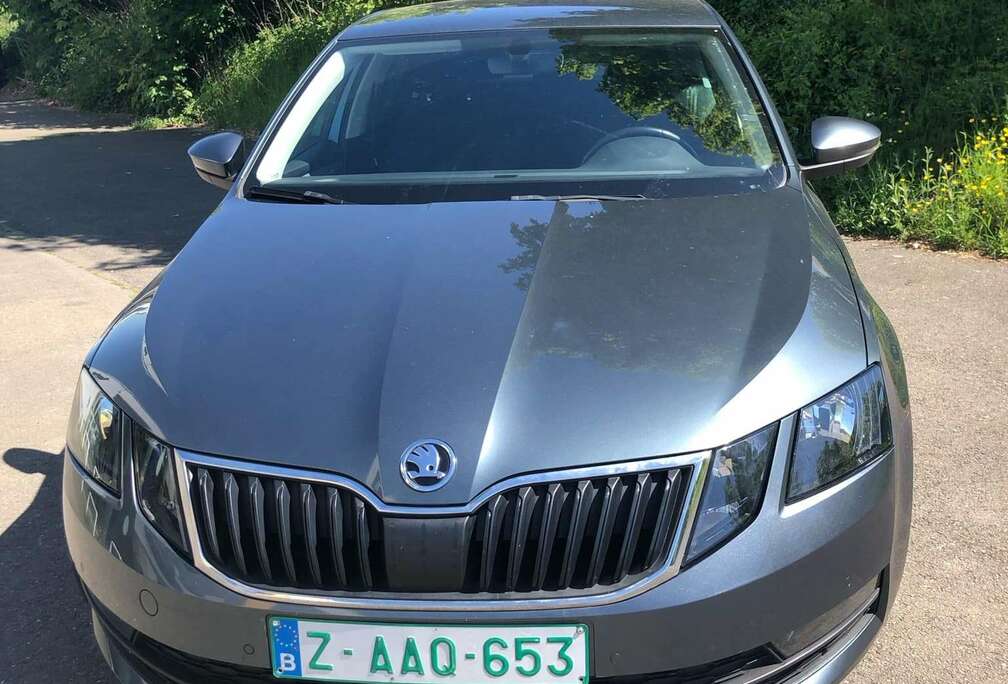 Skoda 1.6 CR TDi Ambition