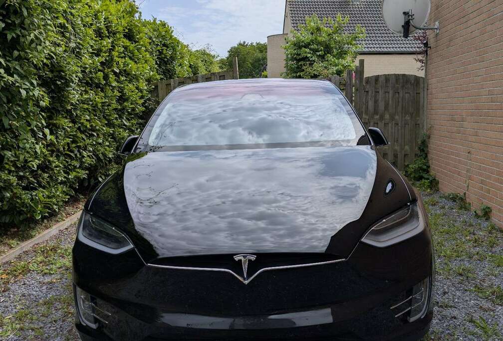 Tesla Tesla Model X  100D Performance 2019