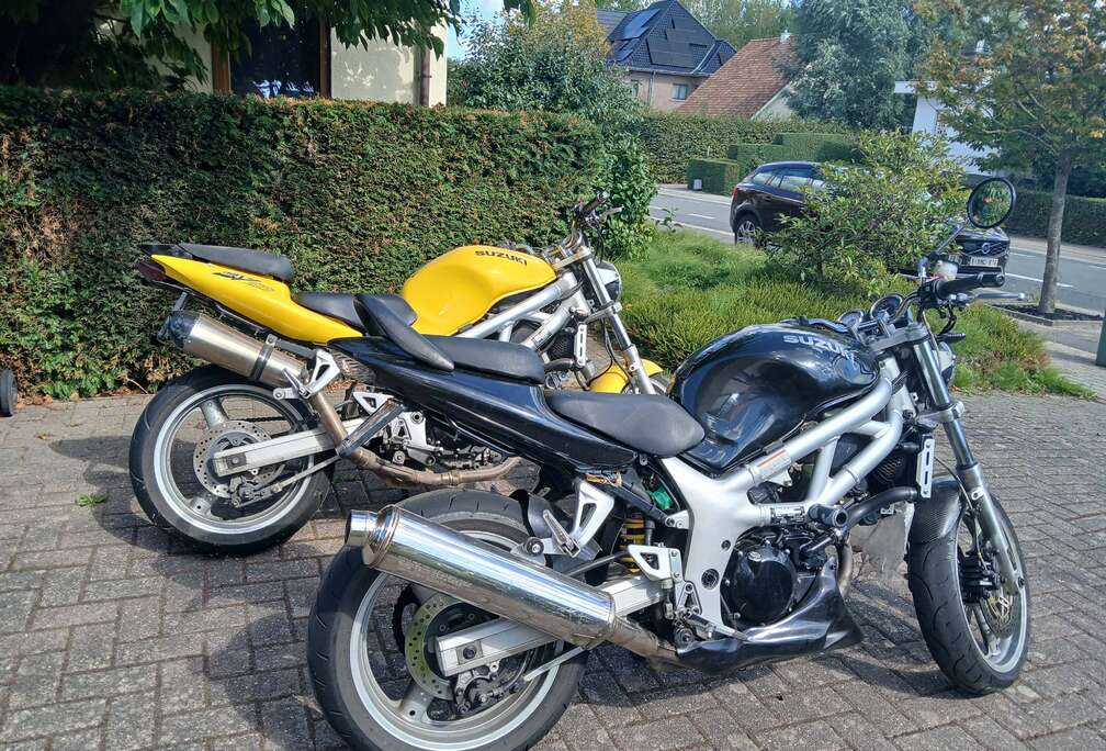 Suzuki