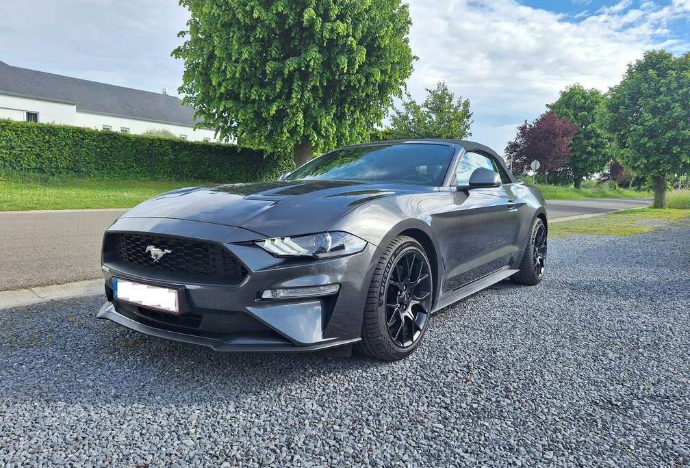 Ford Mustang Convertible 2.3 EcoBoost (EU6.2)