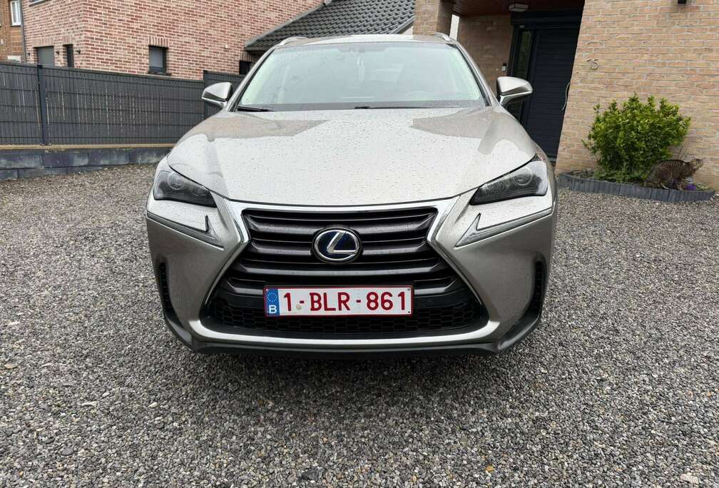 Lexus NX 300h 2.5i AWD Business Edition E-CVT