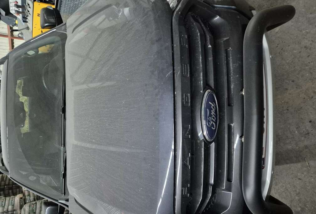 Ford 2.0 BiT EcoBlue Wildtrak (EU6.2)