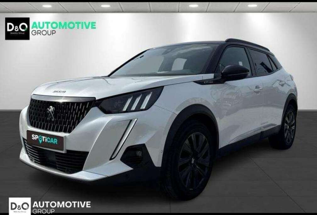Peugeot GT LINE  LEDER  PANODAK