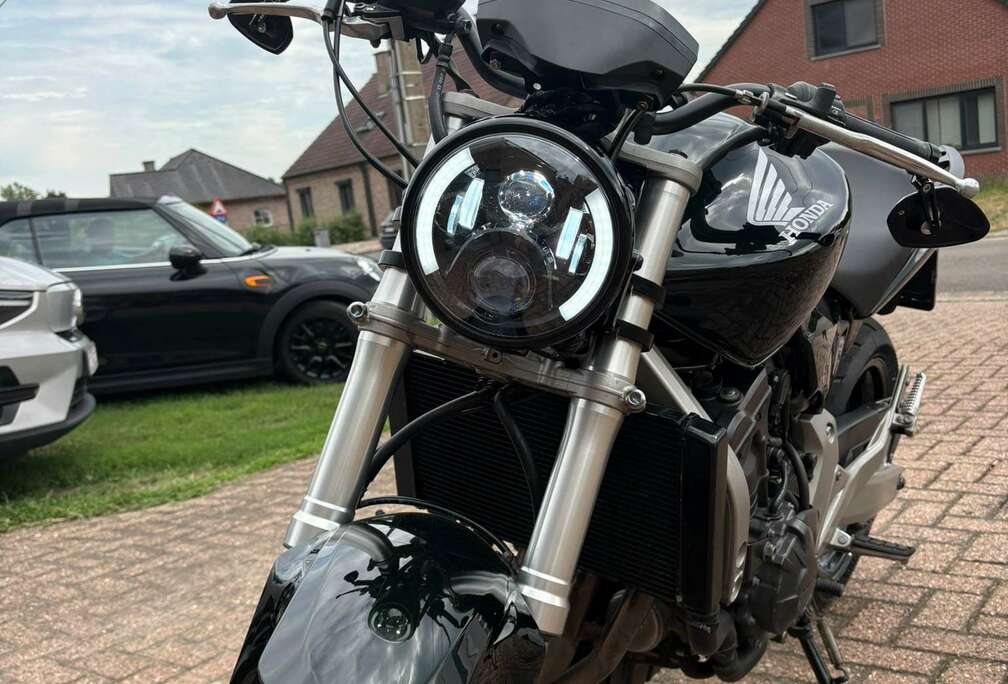 Honda Hornet