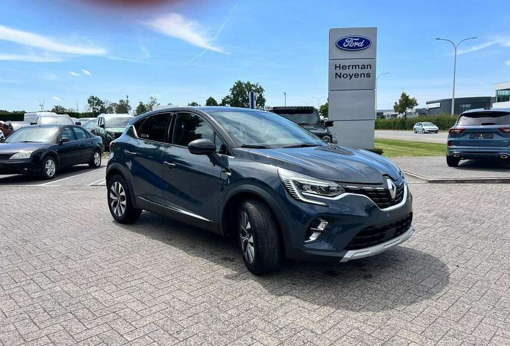 Renault Enkel voor professionele verkoop.
