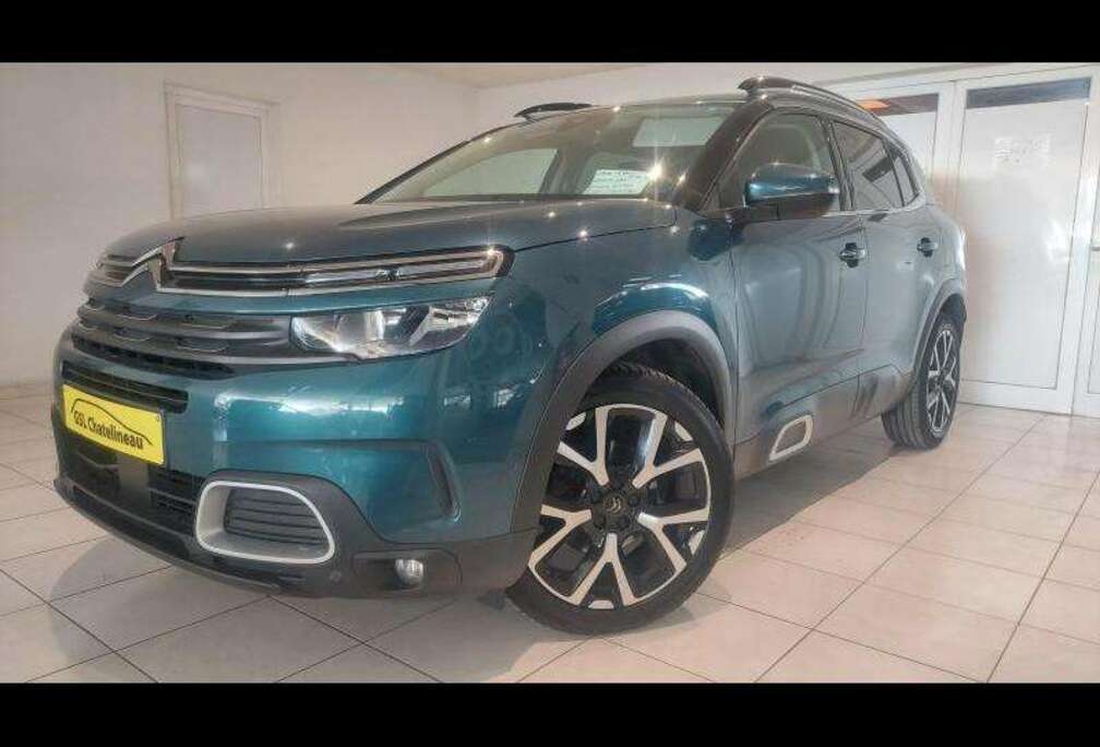 Citroen 1.5HDi 130cv Vert 11/19 Airco GPS Bluetooth Cruise