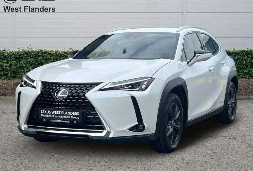 Lexus Business Line Plus