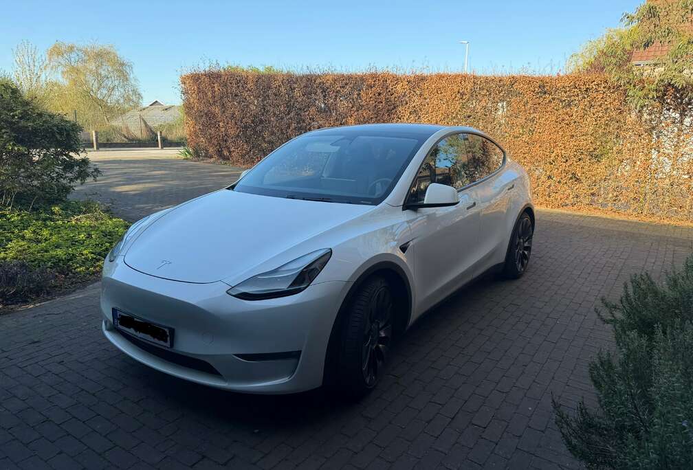 Tesla Dual Motor Performance