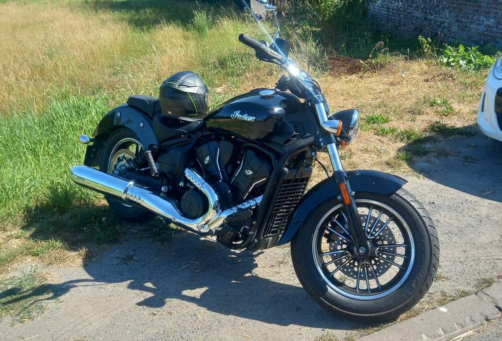 iindian scout