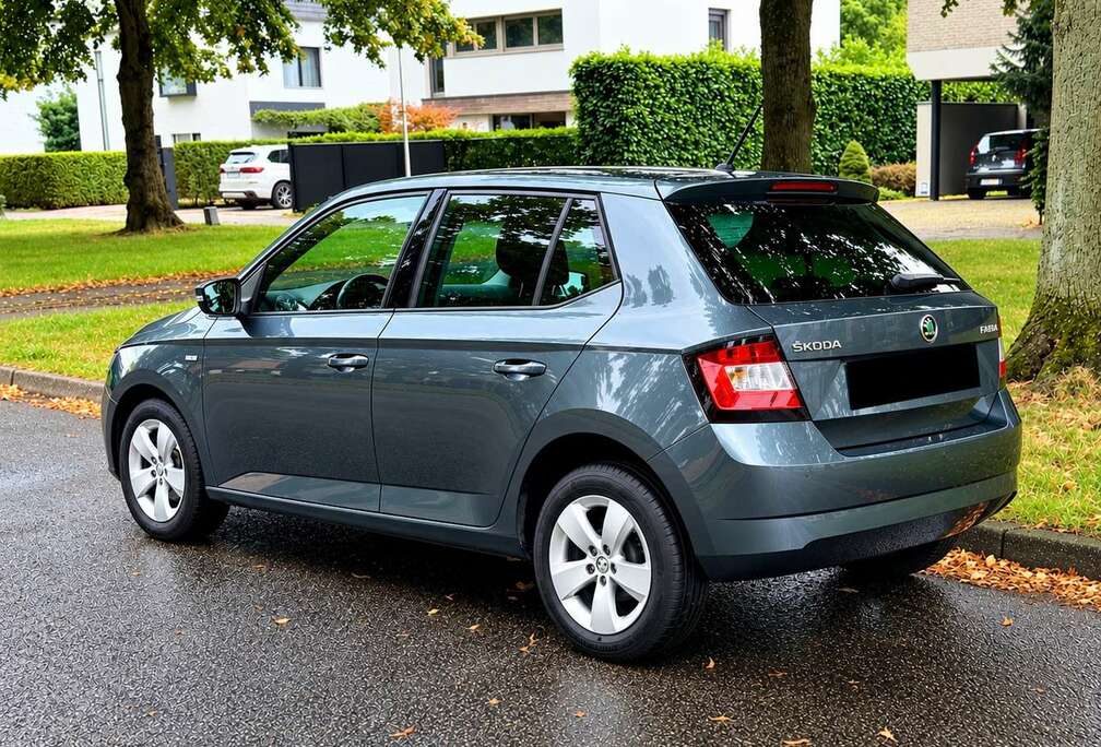 Skoda 1.0 TSI Ultimate Clever - 1ste Eigenaar