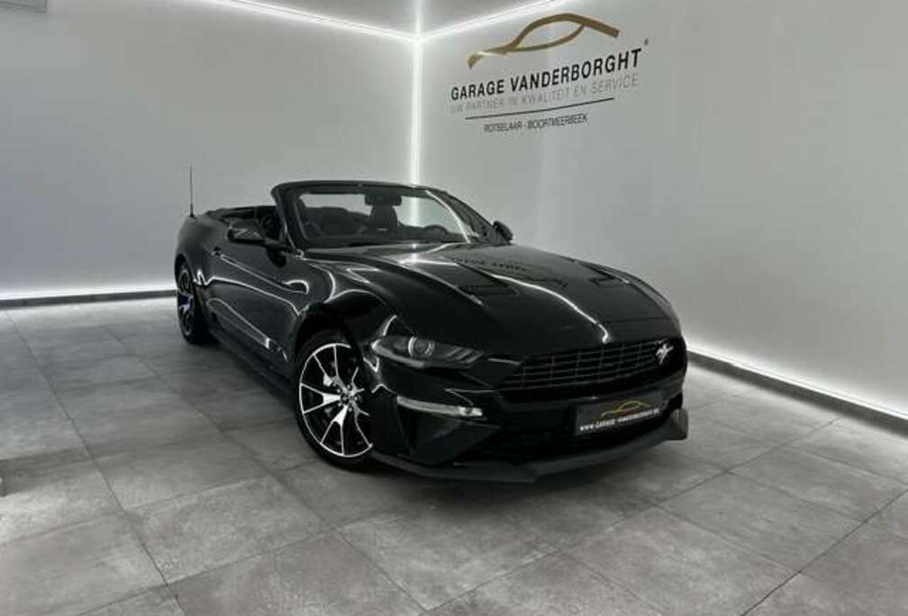 Ford CONVERTIBLE 2.3I 55 YEARS EDITION  36000KM