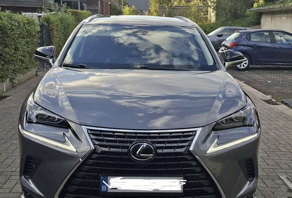 Lexus 2.5i AWD Executive Line E-CVT (EU6.2)