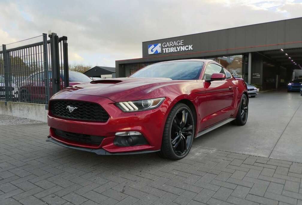 Ford Coupe 2.3 i 317pk Automaat Sport \'17 (37449)