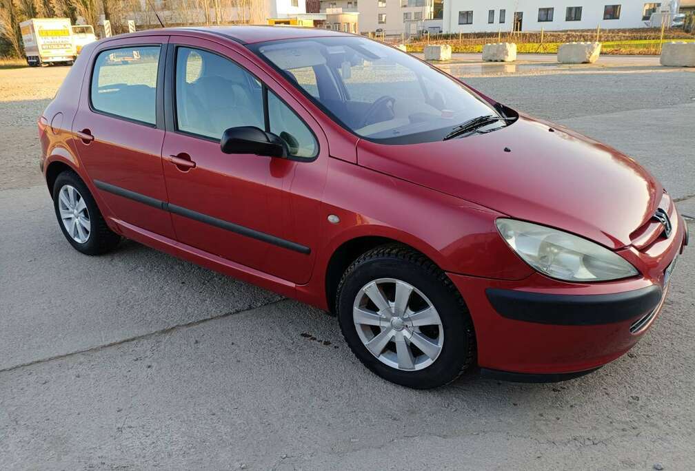 Peugeot 1.6i 16v XS
