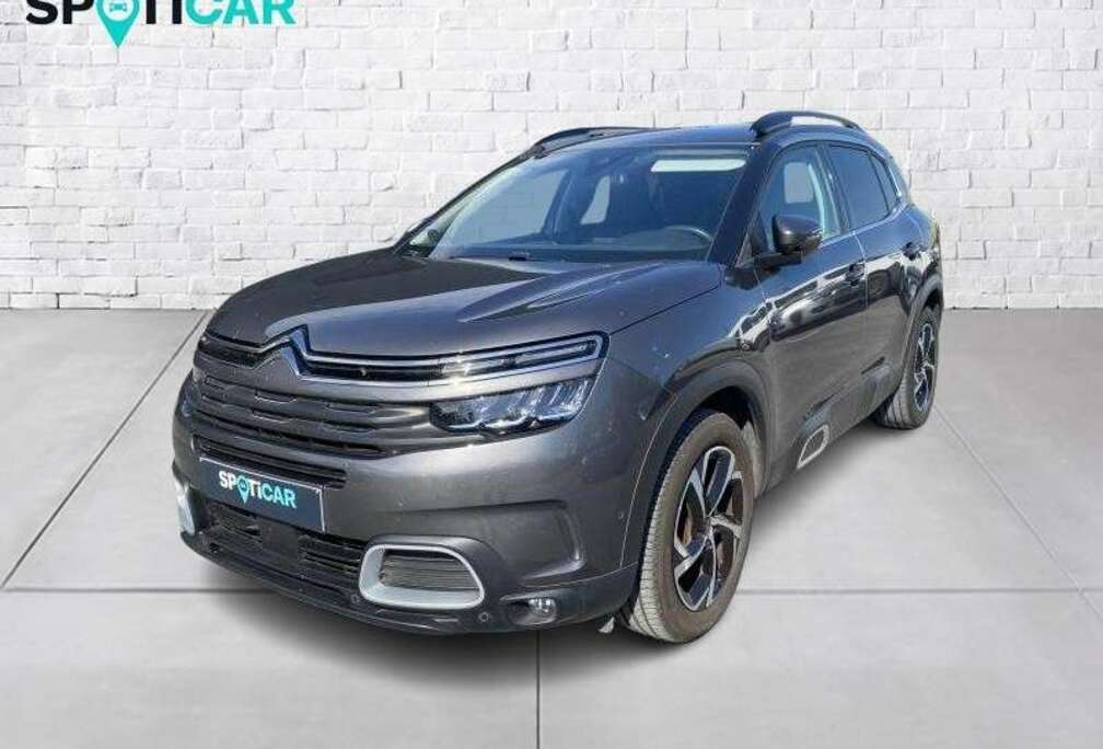 Citroen shine