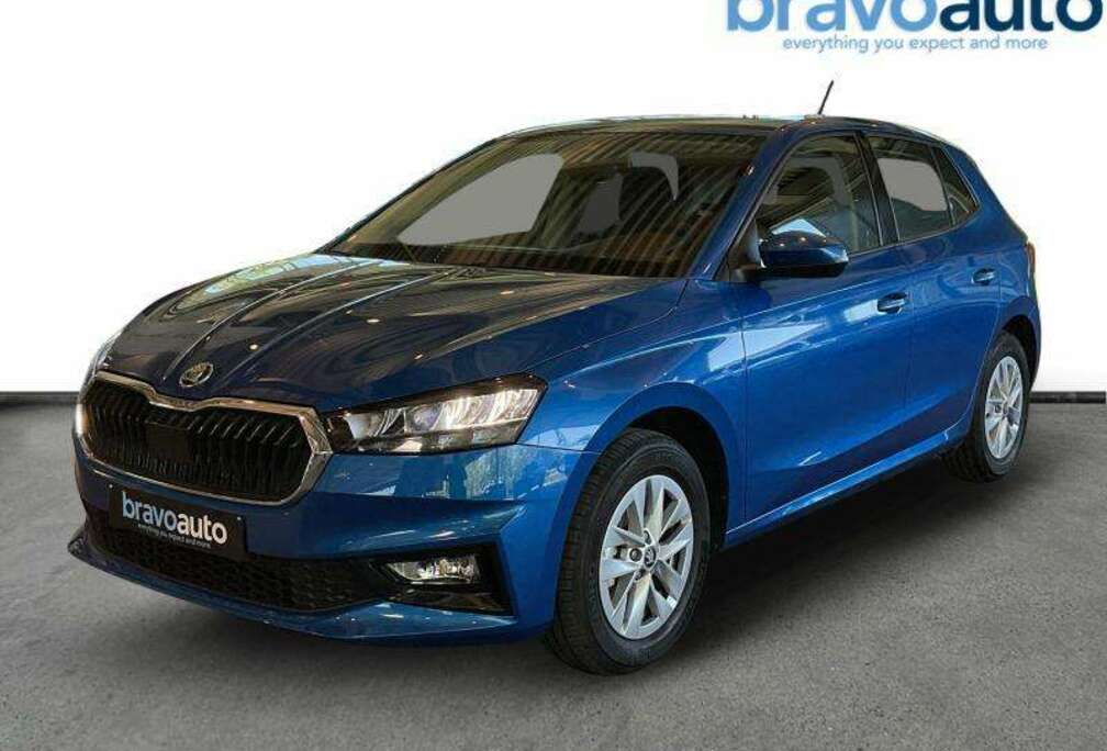 Skoda 1.0 Camera