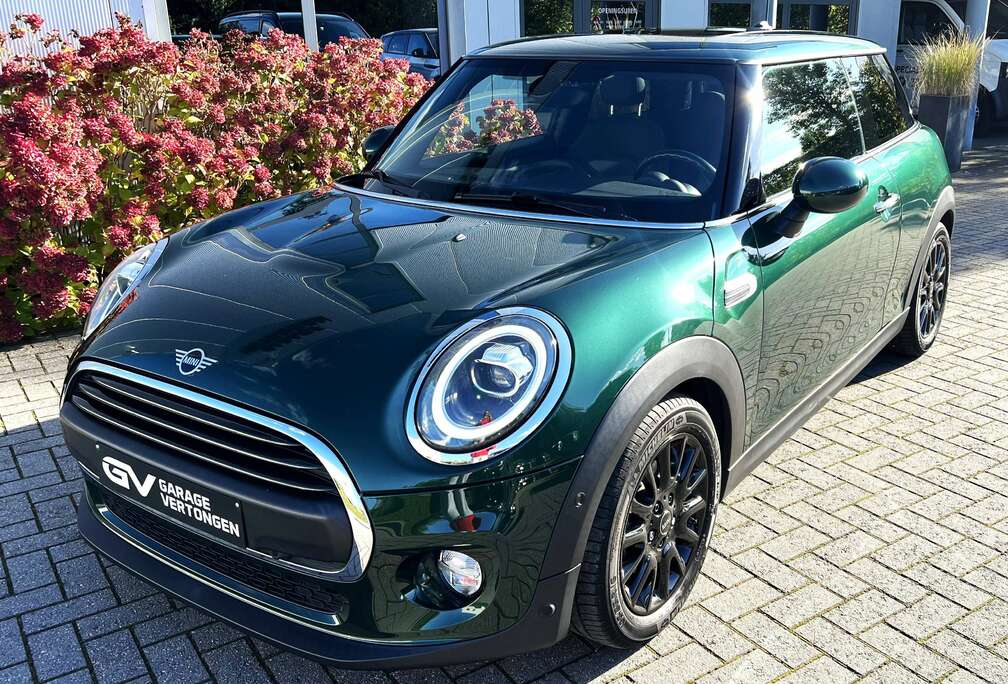 MINI 1.5A One OPF (EU6d-TEMP)*Airco*Pdc*Inparkeerassisst*Pano Dak*Zwarte alum. velgen*Led kopl*Actieve voetgangersbescherming