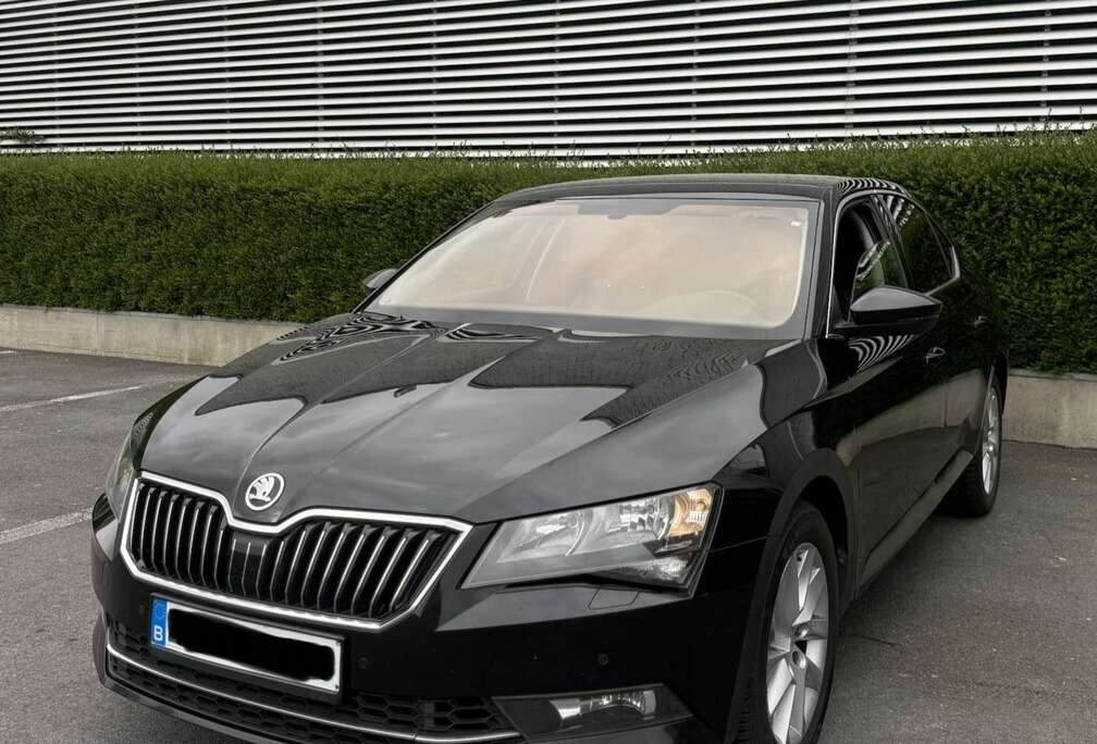 Skoda 2.0 TSI 4x4 Ambition DSG