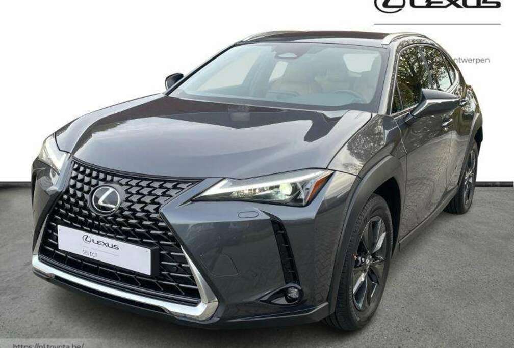 Lexus NEW 300h + Carplay