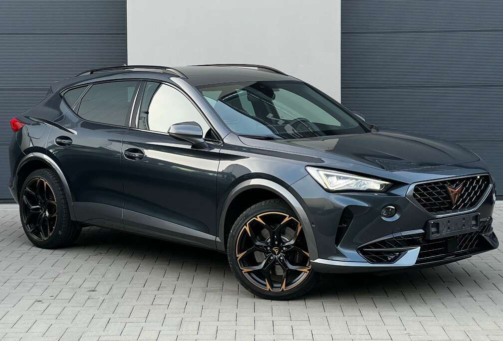 Formentor 2.0 TSI 4Drive VZ DSG