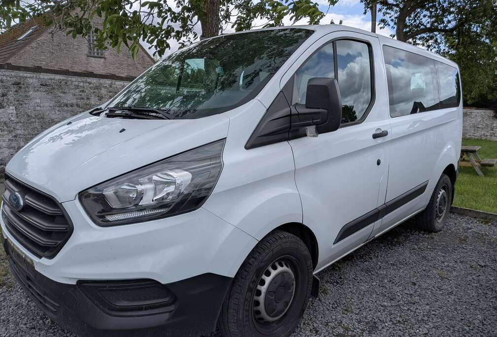Ford 2.0 TDCi L1H1 Trend