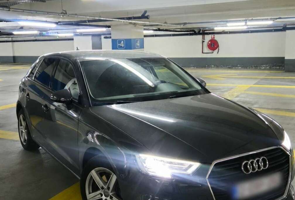 Audi 1.6 TDi