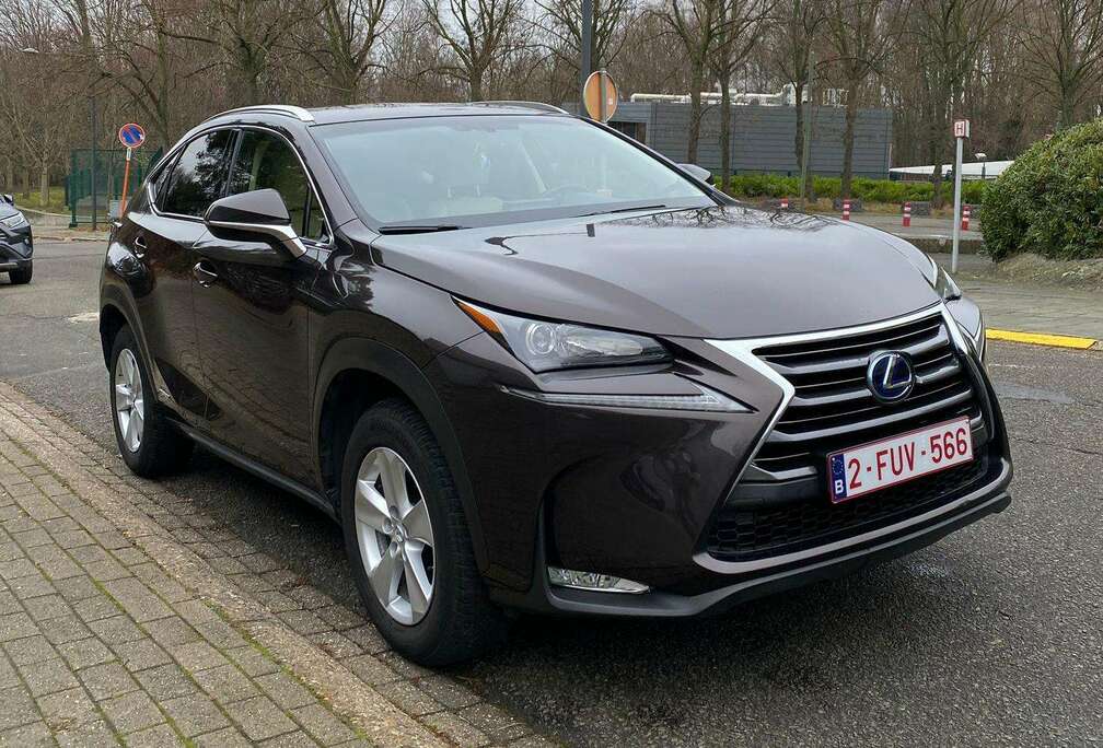 Lexus NX 300h 2.5i AWD Executive Line E-CVT