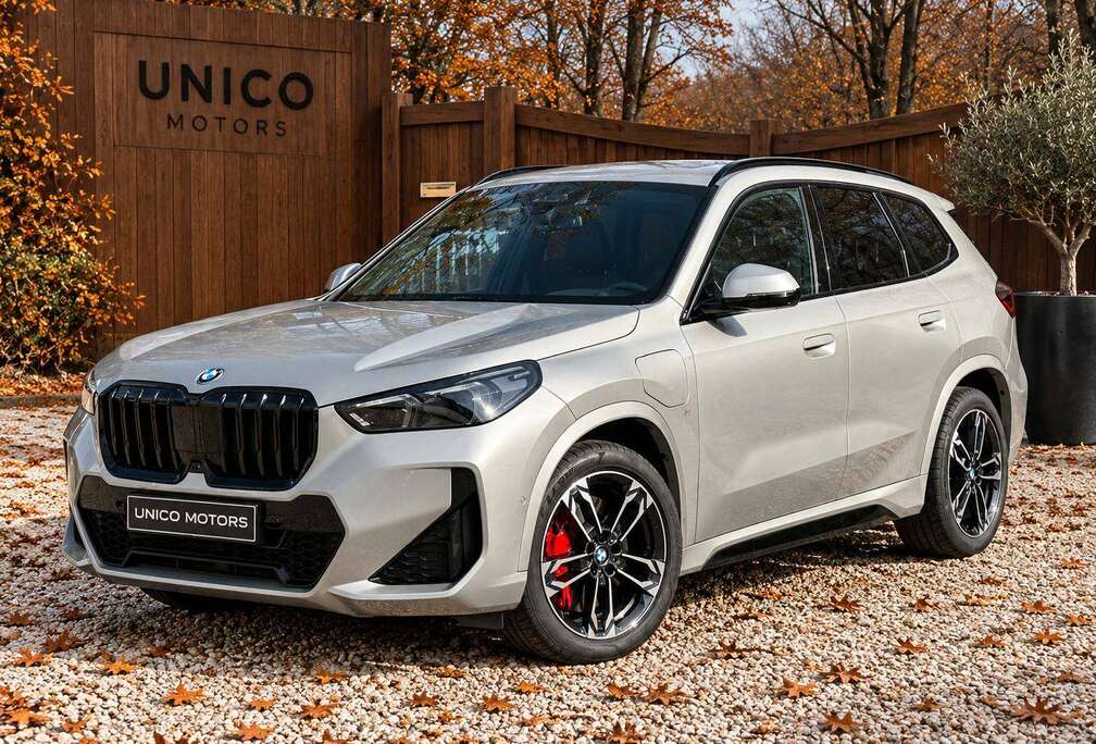 BMW xDrive25e M Sport Pro | HUD | 360CAM | DRIV PROF | KEYLESS | ADAP LED | MASSAGE