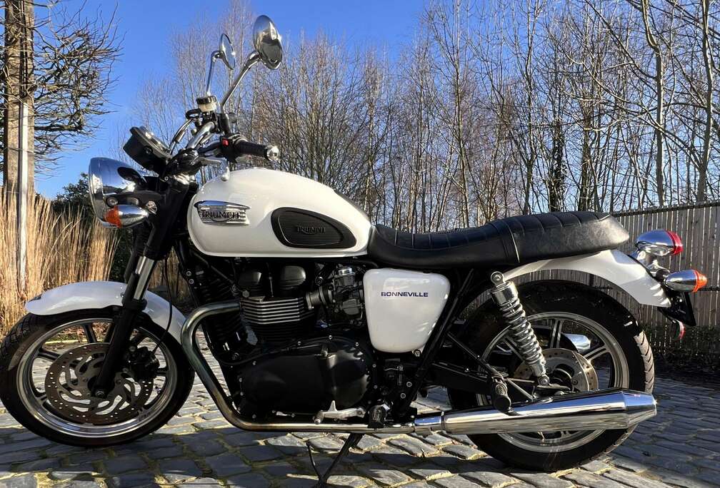 Triumph parelwitte Triumph-kleur