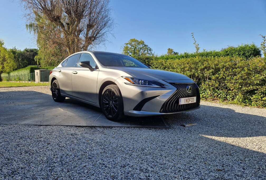 Lexus ES 300h 2.5i Executive Line