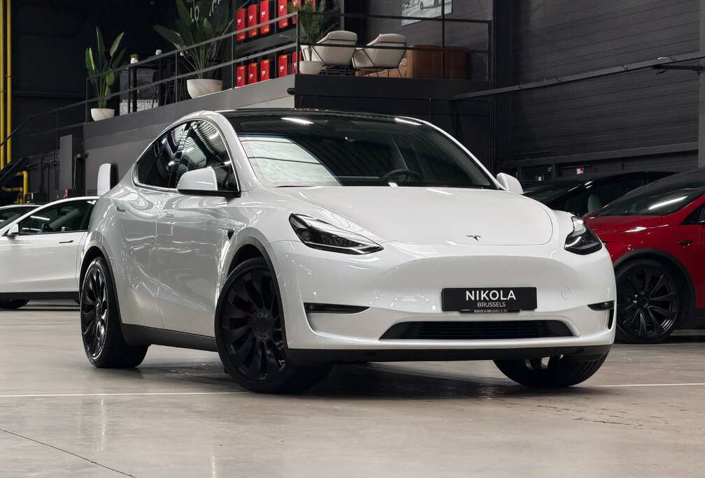 Tesla PERFORMANCE  - RED BRAKES - AUTOPILOT