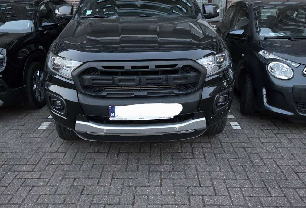 Ford 2.0 BiT EcoBlue Wildtrak (EU6.2)
