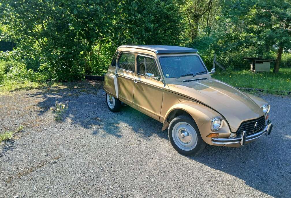 Citroen Dyane 6