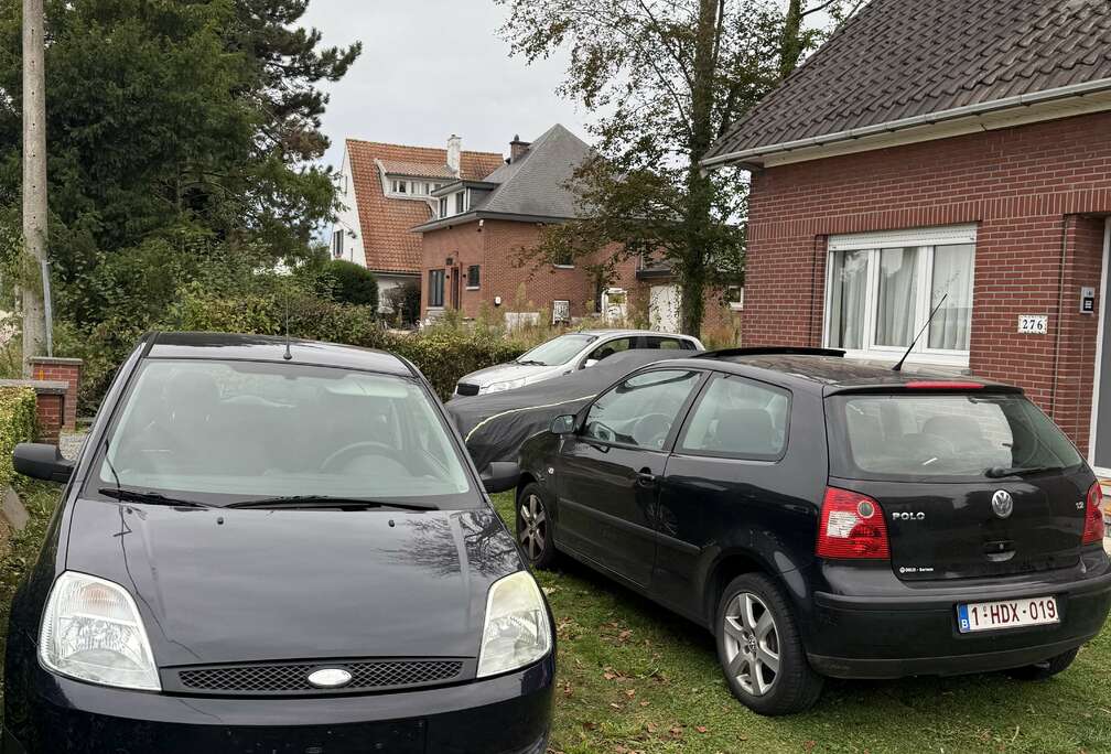Ford 1.3i papier rose