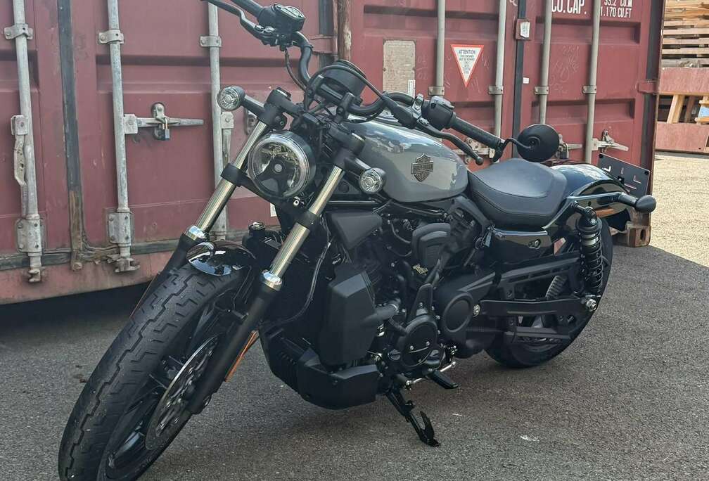 Nightster 2026