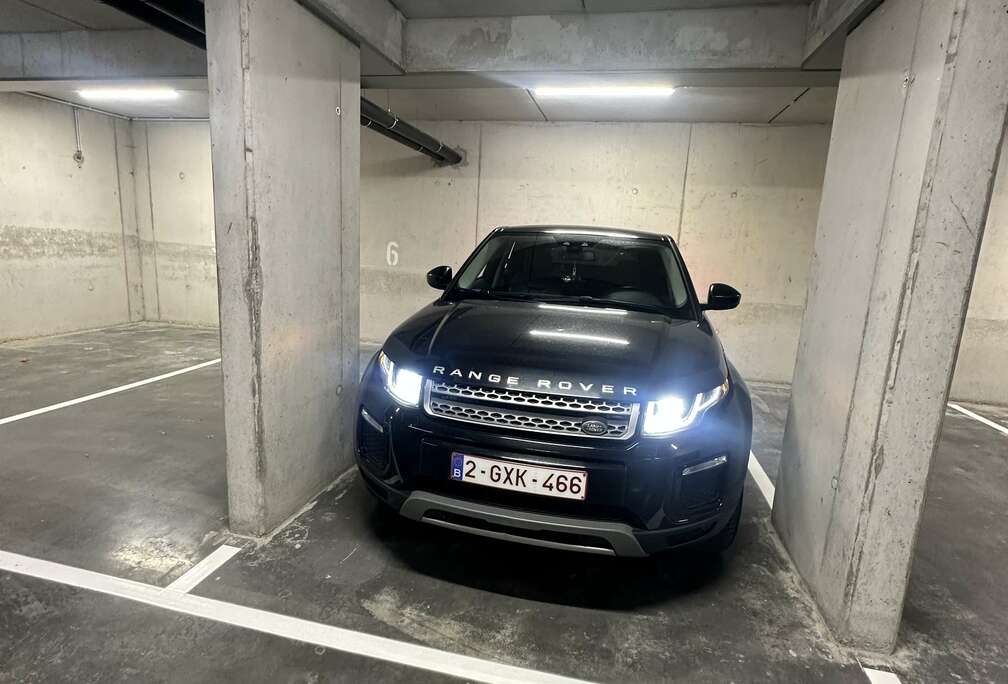 Rover Evogge