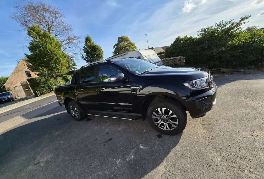 Ford 2.0 BiT EcoBlue Wildtrak (EU6.2)
