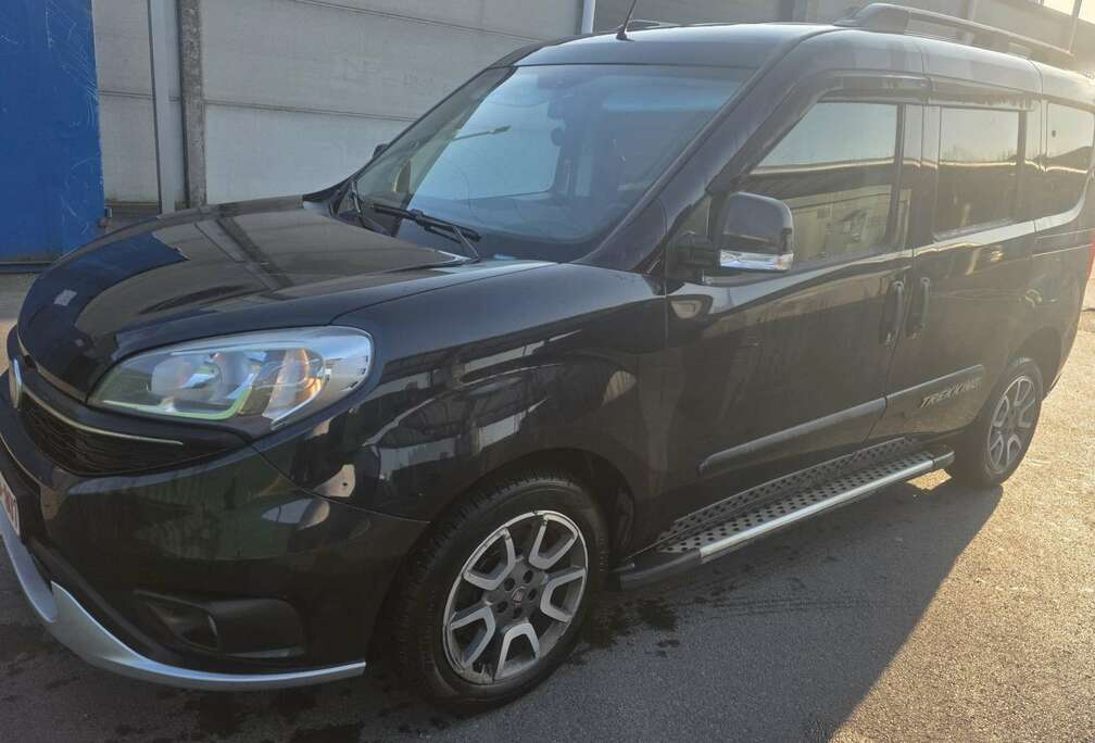 Fiat Cargo DPF S&S SX