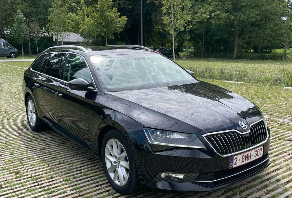 Skoda Combi 1.6 TDI Style Veel Opties Goede Staat