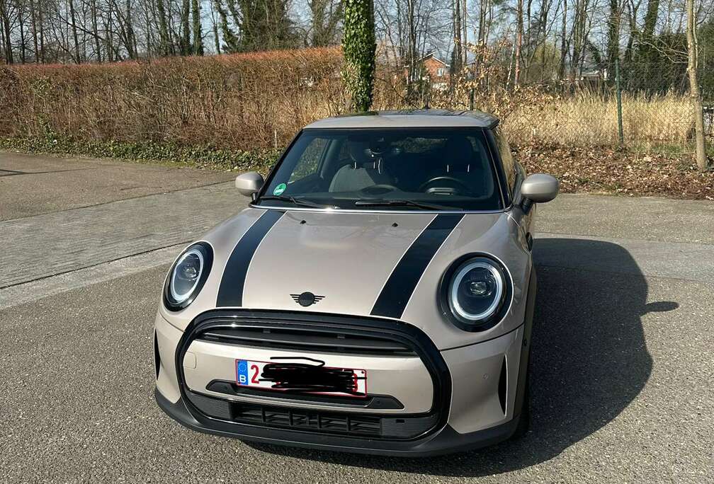 MINI