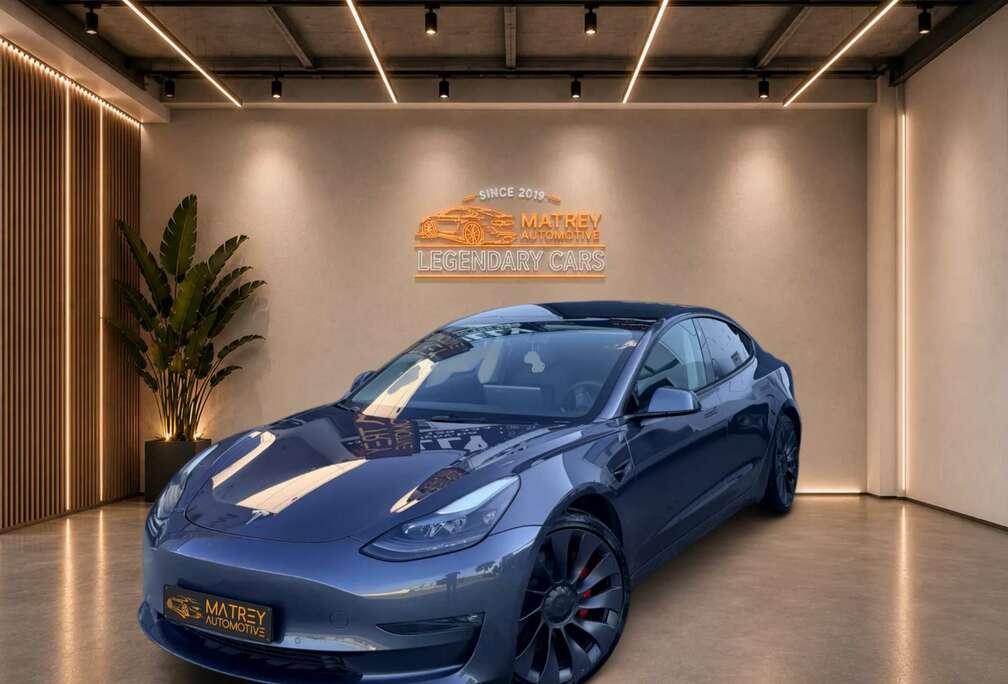 Tesla AWD Performance*Summon*Enhanced incl*
