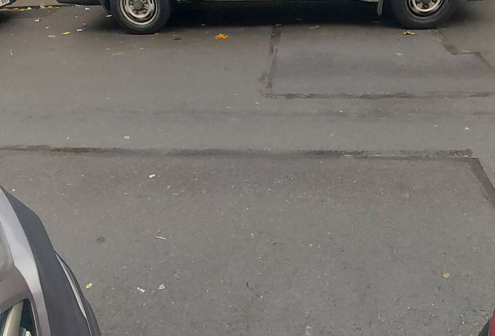 Ford 2.2 TDCi DPF (EU5)