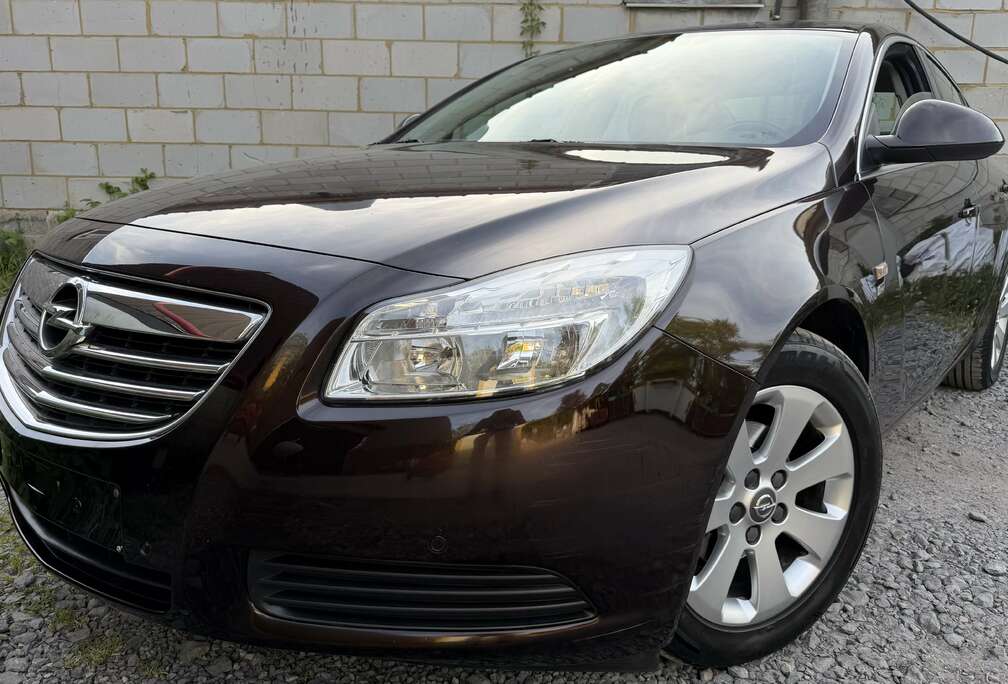 Opel 2.0L CDTI / Ecran GPS / Prêt à immatriculer
