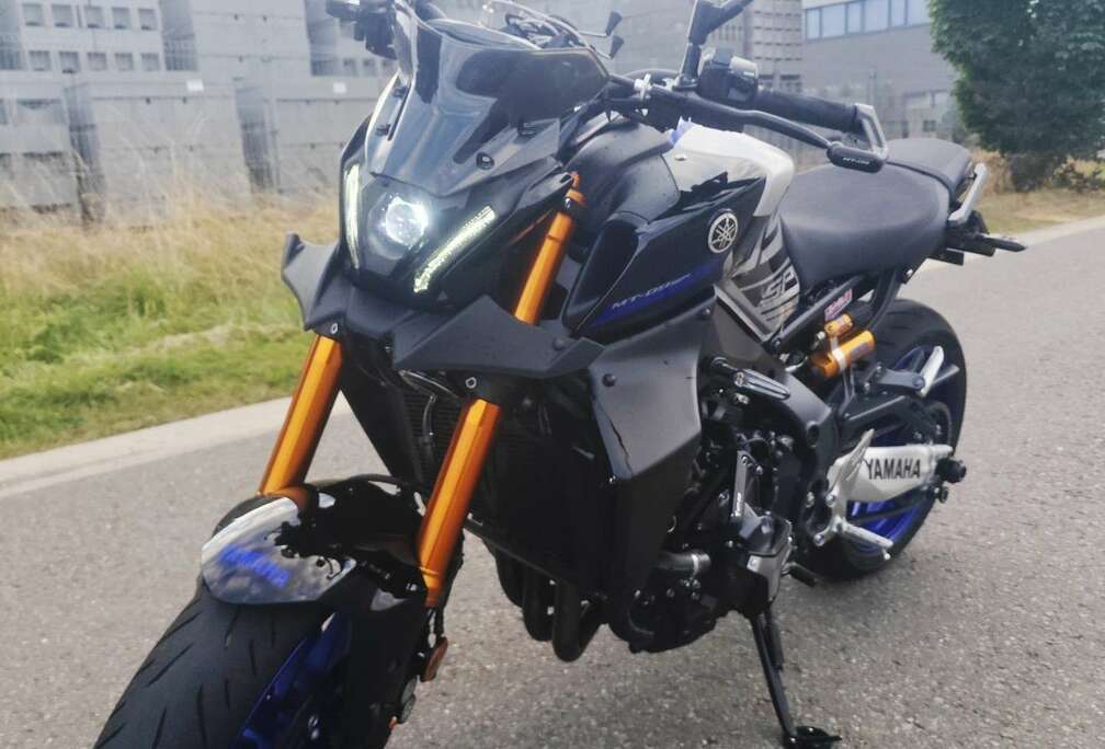 SP