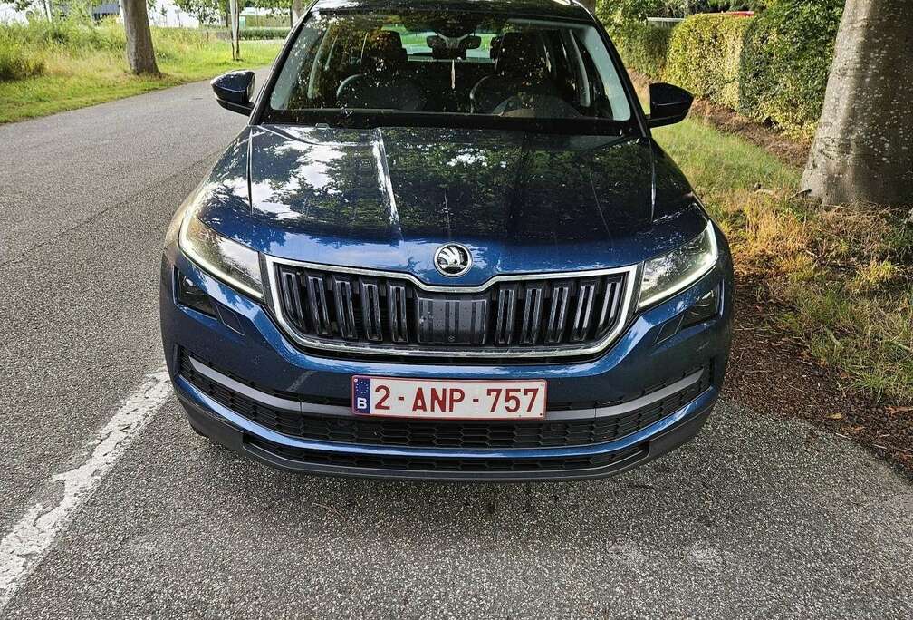 Skoda 2.0 TDI DSG Clever